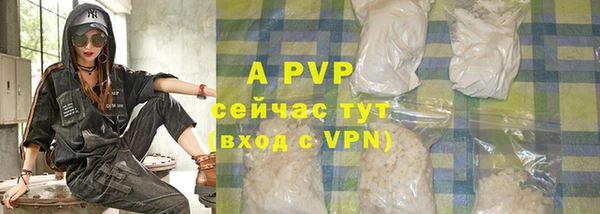 mdpv Богданович